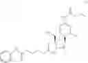 Fig. 68 - Gemcitabine prodrugs and uses thereof