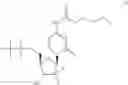 Fig. 70 - Gemcitabine prodrugs and uses thereof