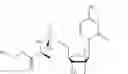 Fig. 06 - Gemcitabine prodrugs
