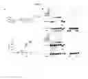Fig. 05 - UBA5 inhibitors