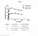 Fig. 23 - UBA5 inhibitors