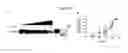 Fig. 25 - UBA5 inhibitors
