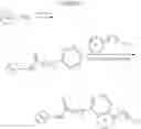 Fig. 34 - SITE SPECIFIC PROTEIN MODIFICATIONS