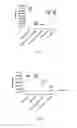 Fig. 06 - ANTIMICROBIAL COMPOUNDS