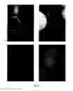 Fig. 08 - ANTIMICROBIAL COMPOUNDS