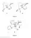 Fig. 02 - NOVEL RUTHENIUM COMPLEXES AND THEIR USES IN PROCESSES FOR FORMATION AND/OR HYDROGENATION OF ESTERS, AMIDES AND DERIVATIVES THEREOF