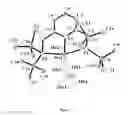 Fig. 04 - NOVEL RUTHENIUM COMPLEXES AND THEIR USES IN PROCESSES FOR FORMATION AND/OR HYDROGENATION OF ESTERS, AMIDES AND DERIVATIVES THEREOF