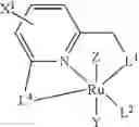 Fig. 33 - NOVEL RUTHENIUM COMPLEXES AND THEIR USES IN PROCESSES FOR FORMATION AND/OR HYDROGENATION OF ESTERS, AMIDES AND DERIVATIVES THEREOF