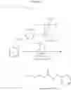 Fig. 360 - NOVEL RUTHENIUM COMPLEXES AND THEIR USES IN PROCESSES FOR FORMATION AND/OR HYDROGENATION OF ESTERS, AMIDES AND DERIVATIVES THEREOF