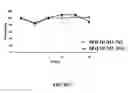 Fig. 08 - Peptidomimetic macrocycles as modulators of MCL-1