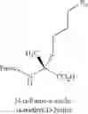 Fig. 103 - Peptidomimetic macrocycles as modulators of MCL-1