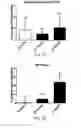 Fig. 11 - Apelin polypeptides