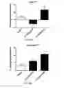 Fig. 13 - Apelin polypeptides