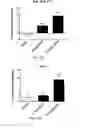 Fig. 14 - Apelin polypeptides