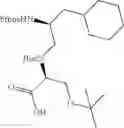 Fig. 20 - Apelin polypeptides