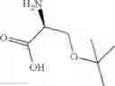Fig. 22 - Apelin polypeptides