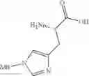 Fig. 25 - Apelin polypeptides
