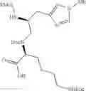 Fig. 26 - Apelin polypeptides