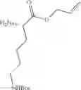 Fig. 28 - Apelin polypeptides