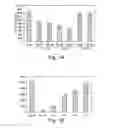 Fig. 02 - Method for inhibiting ADAM proteases with cyclic peptides