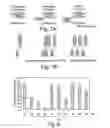Fig. 06 - Method for inhibiting ADAM proteases with cyclic peptides