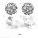 Fig. 05 - Chemically activated nanocapsid functionalized for cancer targeting