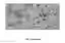 Fig. 07 - Chemically activated nanocapsid functionalized for cancer targeting