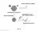 Fig. 14 - Chemically activated nanocapsid functionalized for cancer targeting