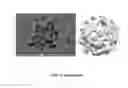 Fig. 17 - Chemically activated nanocapsid functionalized for cancer targeting