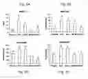 Fig. 06 - Met e 1 tropomyosin variants for use in allergen-specific immunotherapy