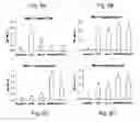 Fig. 07 - Met e 1 tropomyosin variants for use in allergen-specific immunotherapy