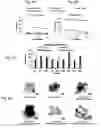 Fig. 09 - Met e 1 tropomyosin variants for use in allergen-specific immunotherapy