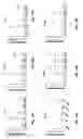 Fig. 11 - Met e 1 tropomyosin variants for use in allergen-specific immunotherapy