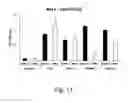 Fig. 13 - Met e 1 tropomyosin variants for use in allergen-specific immunotherapy
