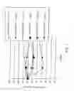 Fig. 02 - PEPTIDE AGONISTS OF GLP-1 ACTIVITY