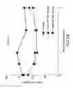 Fig. 09 - Insulin receptor partial agonists