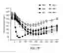 Fig. 19 - Insulin receptor partial agonists