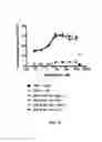 Fig. 09 - Constructs having a SIRP-α domain or variant thereof