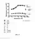 Fig. 16 - Constructs having a SIRP-α domain or variant thereof