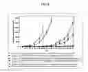 Fig. 07 - Methods of cancer therapy by inhibiting fusion polypeptides comprising fibroblast growth factor receptor 2 (FGFR2) and vinculin (VCL)