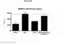 Fig. 38 - Antibodies to HGF and compositions containing