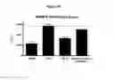 Fig. 45 - Antibodies to HGF and compositions containing