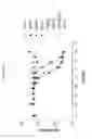 Fig. 02 - ANG2-BINDING MOLECULES