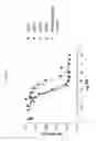 Fig. 08 - ANG2-BINDING MOLECULES