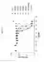 Fig. 10 - ANG2-BINDING MOLECULES
