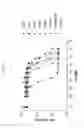 Fig. 11 - ANG2-BINDING MOLECULES