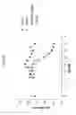 Fig. 14 - ANG2-BINDING MOLECULES