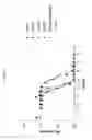 Fig. 17 - ANG2-BINDING MOLECULES