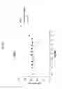 Fig. 18 - ANG2-BINDING MOLECULES