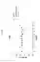 Fig. 19 - ANG2-BINDING MOLECULES